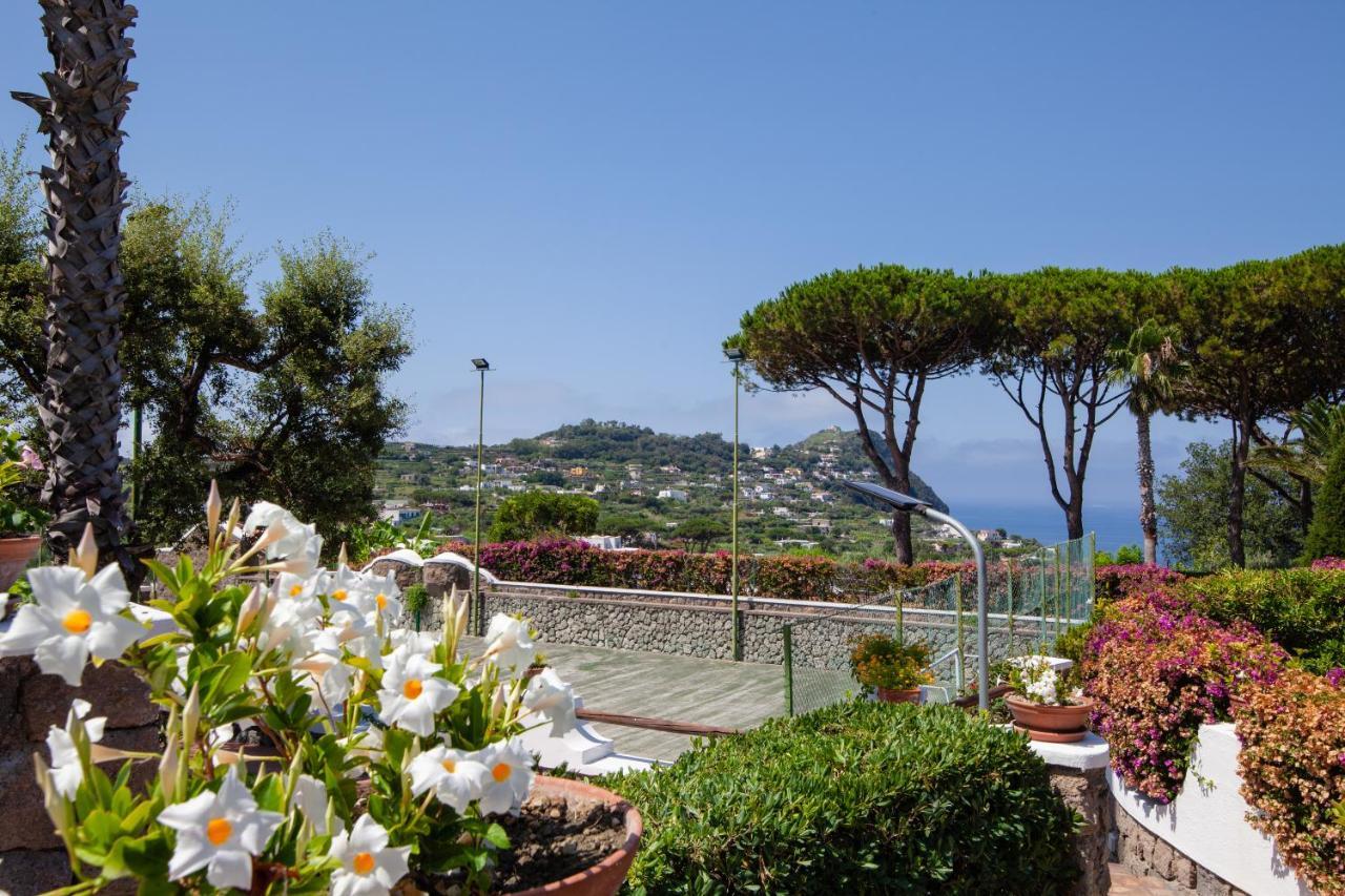 Villetta Con Giardino Esclusivo Di 1000 Mq, Piscina, Tennis, Calcio, Bocce Forio  Exterior photo