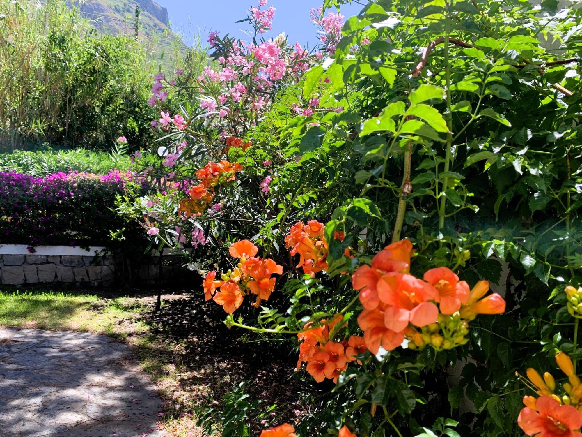 Villetta Con Giardino Esclusivo Di 1000 Mq, Piscina, Tennis, Calcio, Bocce Forio  Exterior photo